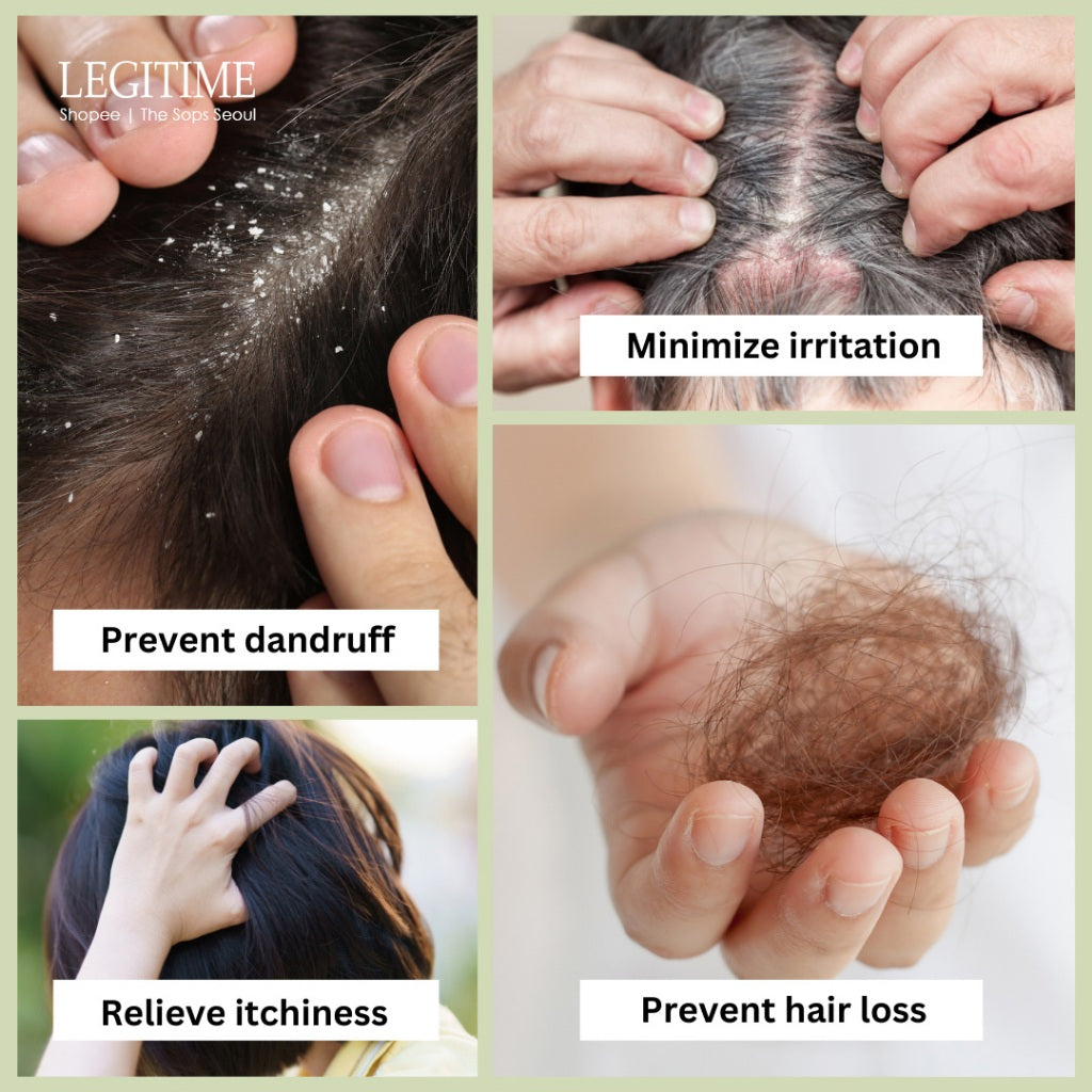 LEGITIME Age Scalp Shampoo B+ (520ml)