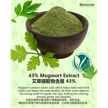 Benezyme SSUC Powder Color Cream | Dye Hair With Water | 10g x 3 sachets |  草本水染