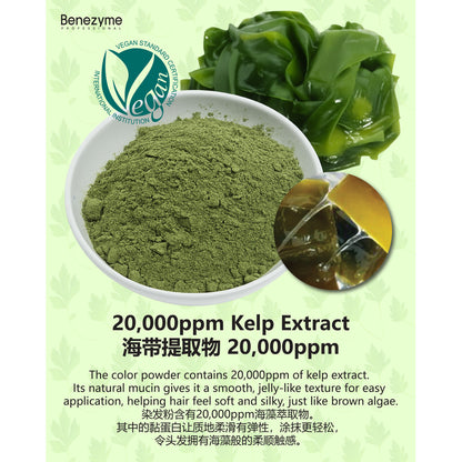 Benezyme SSUC Powder Color Cream | Dye Hair With Water | 10g x 3 sachets |  草本水染