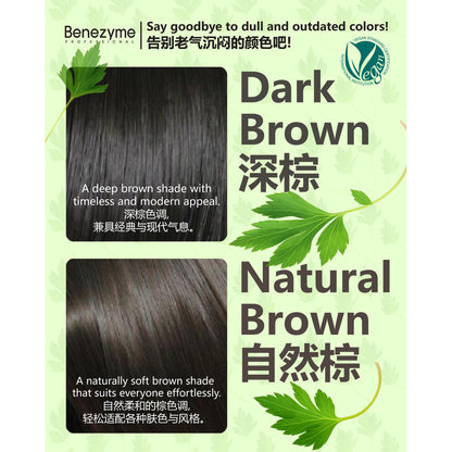 Benezyme SSUC Powder Color Cream | Dye Hair With Water | 10g x 3 sachets |  草本水染